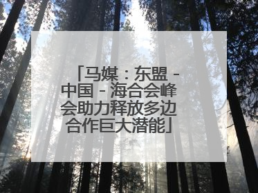 马媒：东盟－中国－海合会峰会助力释放多边合作巨大潜能