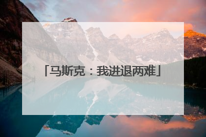 马斯克：我进退两难