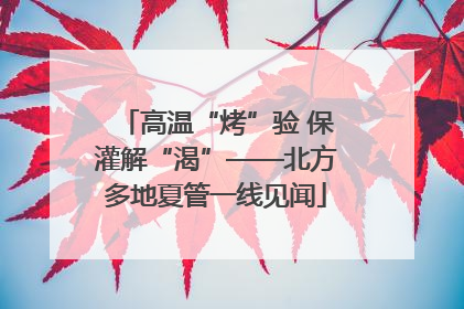 高温“烤”验 保灌解“渴”——北方多地夏管一线见闻