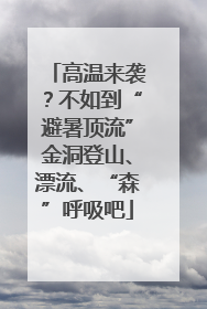 高温来袭？不如到“避暑顶流”金洞登山、漂流、“森”呼吸吧