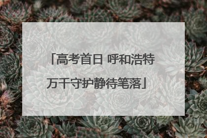 高考首日 呼和浩特万千守护静待笔落