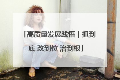 高质量发展践悟｜抓到底 改到位 治到根