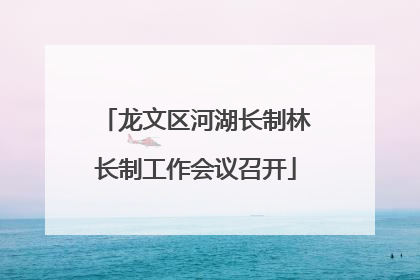 龙文区河湖长制林长制工作会议召开