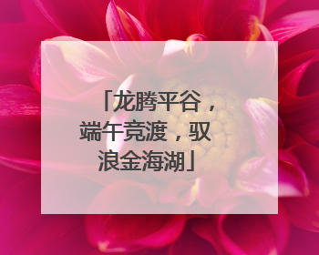 龙腾平谷，端午竞渡，驭浪金海湖