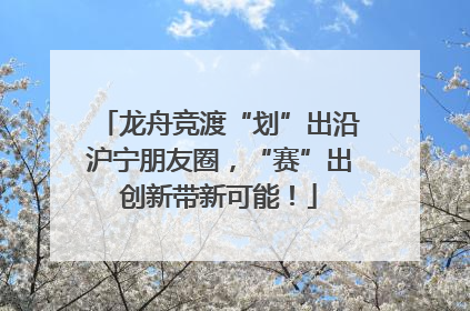 龙舟竞渡“划”出沿沪宁朋友圈，“赛”出创新带新可能！