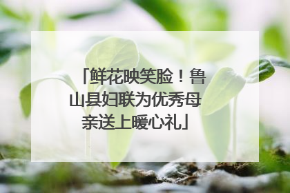 鲜花映笑脸！鲁山县妇联为优秀母亲送上暖心礼