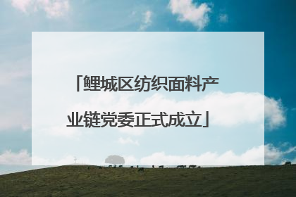 鲤城区纺织面料产业链党委正式成立