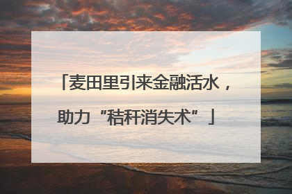 麦田里引来金融活水，助力“秸秆消失术”