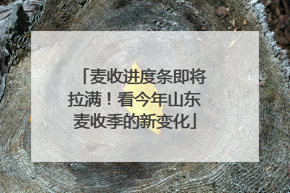 麦收进度条即将拉满！看今年山东麦收季的新变化