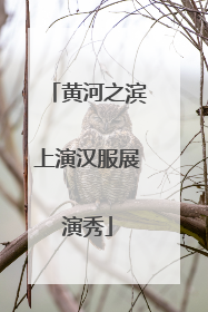 黄河之滨上演汉服展演秀