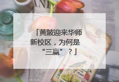 黄陂迎来华师新校区，为何是“三赢”？