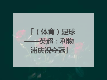 （体育）足球——英超：利物浦庆祝夺冠