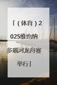 （体育）2025维也纳多瑙河龙舟赛举行