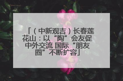 （中新观吉）长春莲花山：以“陶”会友促中外交流 国际“朋友圈”不断扩容