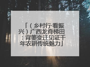 （乡村行·看振兴）广西龙脊梯田：背篓变迁见证千年农耕传统魅力