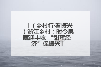 （乡村行·看振兴）浙江乡村：时令果蔬迎丰收 “甜蜜经济”促振兴