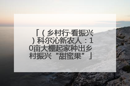 （乡村行·看振兴）科尔沁新农人：10亩大棚起家种出乡村振兴“甜蜜果”