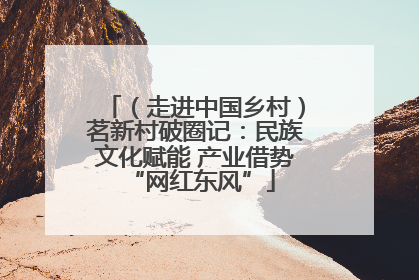 （走进中国乡村）茗新村破圈记：民族文化赋能 产业借势 “网红东风”