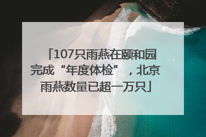 107只雨燕在颐和园完成“年度体检”，北京雨燕数量已超一万只
