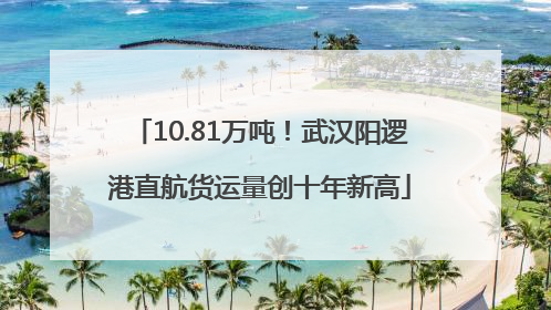 10.81万吨！武汉阳逻港直航货运量创十年新高