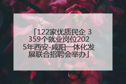 122家优质民企 3359个就业岗位2025年西安-咸阳一体化发展联合招聘会举办