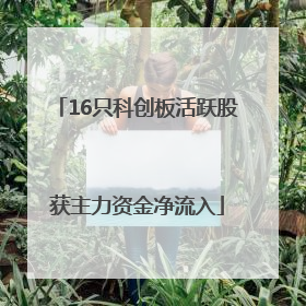 16只科创板活跃股获主力资金净流入