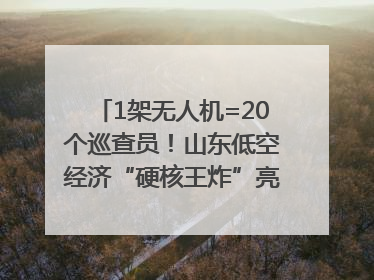 1架无人机=20个巡查员！山东低空经济“硬核王炸”亮相青岛，下一个万亿赛道藏在这里