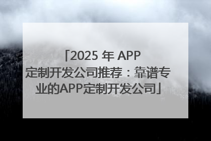 2025 年 APP 定制开发公司推荐：靠谱专业的APP定制开发公司