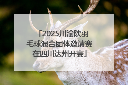 2025川渝陕羽毛球混合团体邀请赛在四川达州开赛