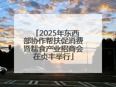 2025年东西部协作帮扶促消费暨糯食产业招商会在贞丰举行