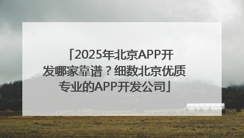 2025年北京APP开发哪家靠谱？细数北京优质专业的APP开发公司