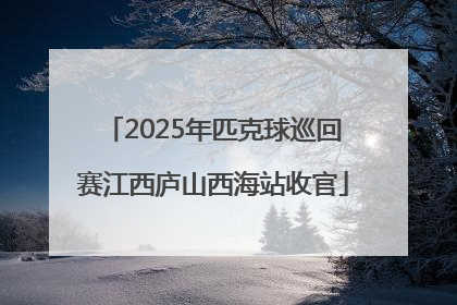 2025年匹克球巡回赛江西庐山西海站收官