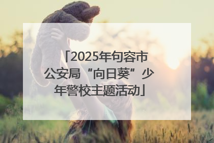 2025年句容市公安局“向日葵”少年警校主题活动