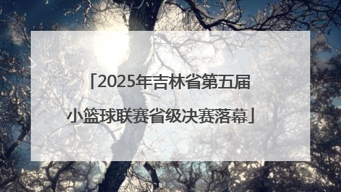 2025年吉林省第五届小篮球联赛省级决赛落幕