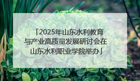 2025年山东水利教育与产业高质量发展研讨会在山东水利职业学院举办