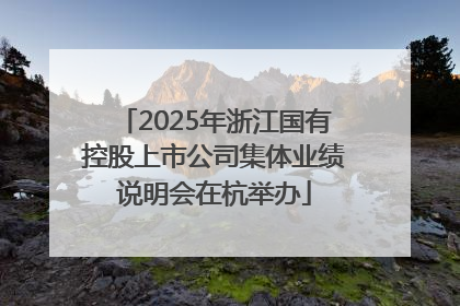 2025年浙江国有控股上市公司集体业绩说明会在杭举办