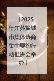 2025年江苏盐城市集体协商集中要约行动推进会举办