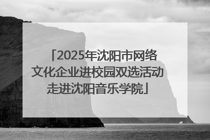 2025年沈阳市网络文化企业进校园双选活动走进沈阳音乐学院
