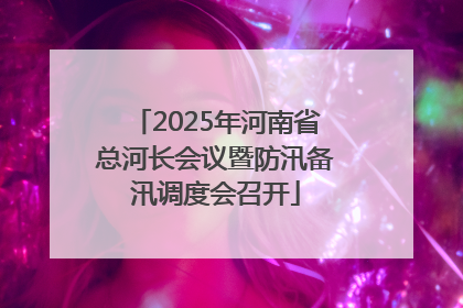 2025年河南省总河长会议暨防汛备汛调度会召开