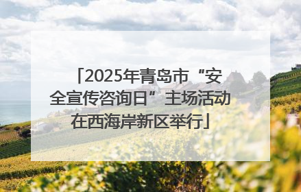 2025年青岛市“安全宣传咨询日”主场活动在西海岸新区举行