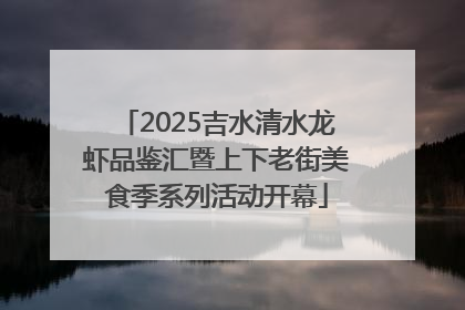 2025吉水清水龙虾品鉴汇暨上下老街美食季系列活动开幕