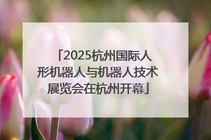 2025杭州国际人形机器人与机器人技术展览会在杭州开幕