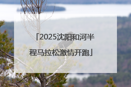 2025沈阳和河半程马拉松激情开跑