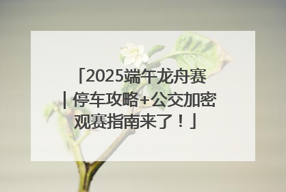 2025端午龙舟赛｜停车攻略+公交加密 观赛指南来了！