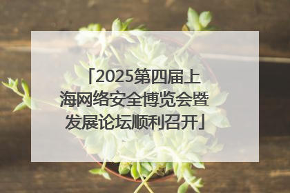 2025第四届上海网络安全博览会暨发展论坛顺利召开