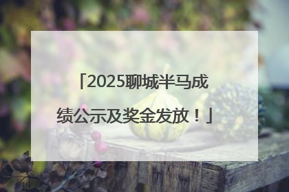 2025聊城半马成绩公示及奖金发放！