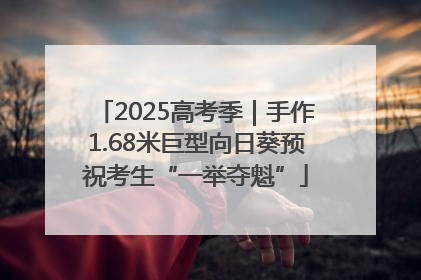 2025高考季｜手作1.68米巨型向日葵预祝考生“一举夺魁”