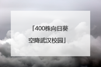 400株向日葵空降武汉校园