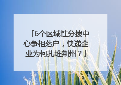 6个区域性分拨中心争相落户，快递企业为何扎堆荆州？