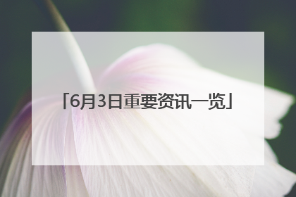6月3日重要资讯一览